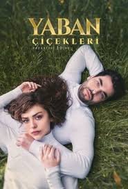 download – 2024-08-15T194707.300