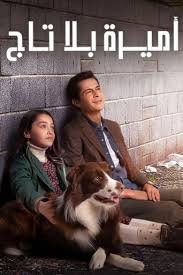 download – 2024-08-17T143200.132