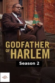 images – 2024-08-19T193657.452