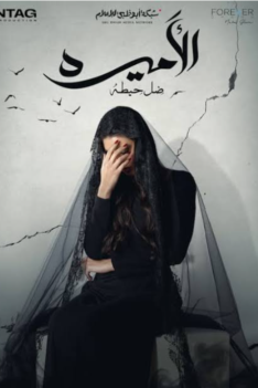 Screenshot_20250306-134027